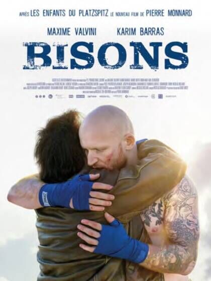 Affiche du film Bisons